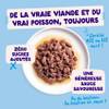 Edgar & Cooper Multipack Pêche du jour chat 12 x 85 g