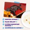 Edgar & Cooper Multipack Pêche du jour chat 12 x 85 g