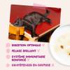 Edgar & Cooper Pochon chaton canard et poulet 85 g