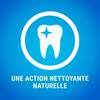 PRO PLAN Dentalife chien bâtonnets dentaires multipack