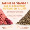 Edgard & Cooper Chien adulte Small croquettes sans céréales