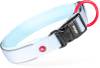 Collier chien nylon Premium Zolux Bleu ciel
