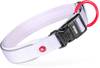 Collier chien nylon Premium Zolux Lilas