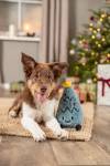 Jouet chien Trixie Elfe Arbre de Noël