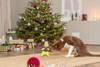 Jouet chien Dino Noël Trixie en peluche sonore