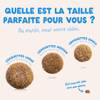Edgard & Cooper Chien adulte petites croquettes saumon