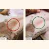 Croquettes chien Pro-Nutrition Protect Dermato