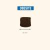 Croquettes chien Pro-Nutrition Protect Obésité