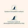 Croquettes chien Pro-Nutrition Prestige Puppy Mini sac 3 kg