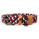 Collier pour chien