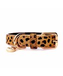 Collier de luxe pour chien