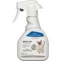 Répulsif chat et entretien maison