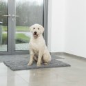 Tapis pour chien