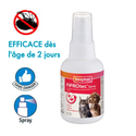 Spray anti-puce pour chat