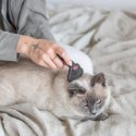 Brosse pour chat poil court