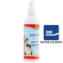 Dentifrice pour chat