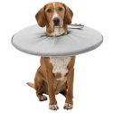 Collerette pour chat