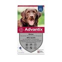 Pipette anti-puce pour chien