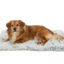 Coussin apaisant pour chien