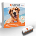 Balise GPS pour chien