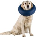 Collerette gonflable pour chien