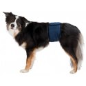 Couche pour chien mâle