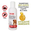 Shampoing anti-puce pour chien