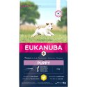 Croquettes Eukanuba pour chien