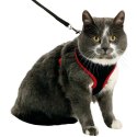 Harnais pour chat