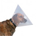Collerette pour chien