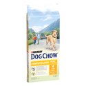 Croquettes Dog Chow pour chien
