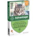 Anti-puce lapin