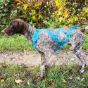 Harnais de traction pour chien