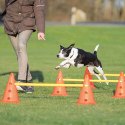 Obstacle d'agility