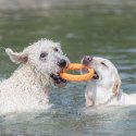 Jouet d'eau pour chien