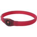 Collier lumineux pour chien