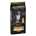 Croquettes pour chien stérilisé ou en surpoids