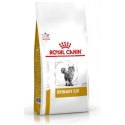 Croquettes Royal Canin pour chat