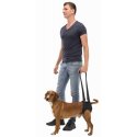 Harnais pour chien handicapé