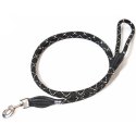 Laisse pour chien
