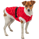 🧶 Pulls et manteaux de Noël pour chien