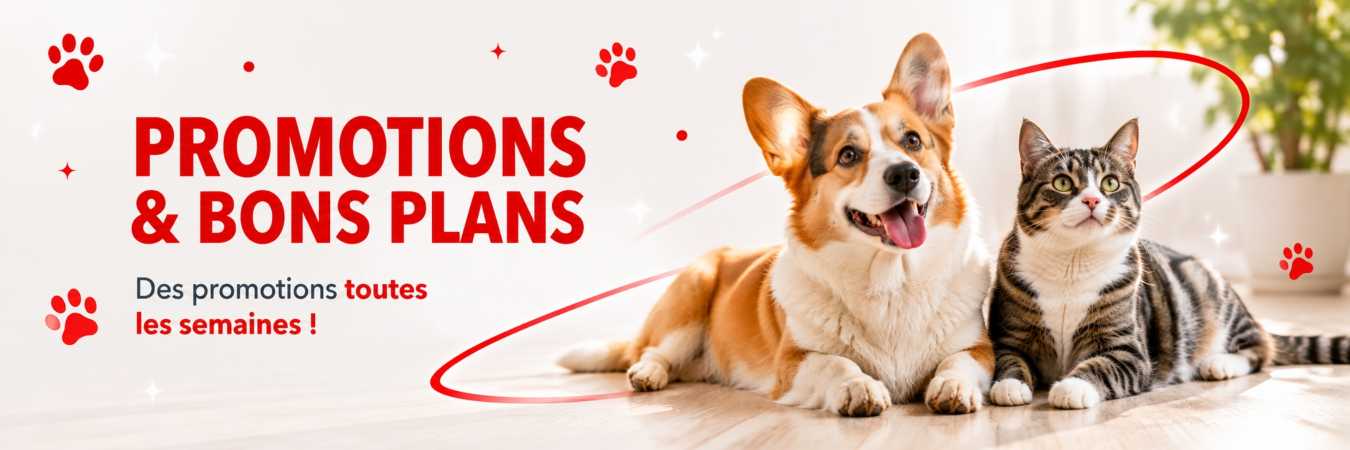 Promotion en cours animalerie en ligne Auberpets