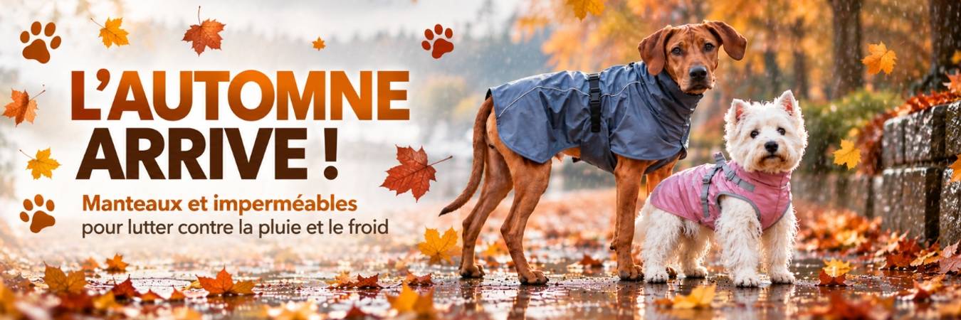 Promotion en cours animalerie en ligne Auberpets