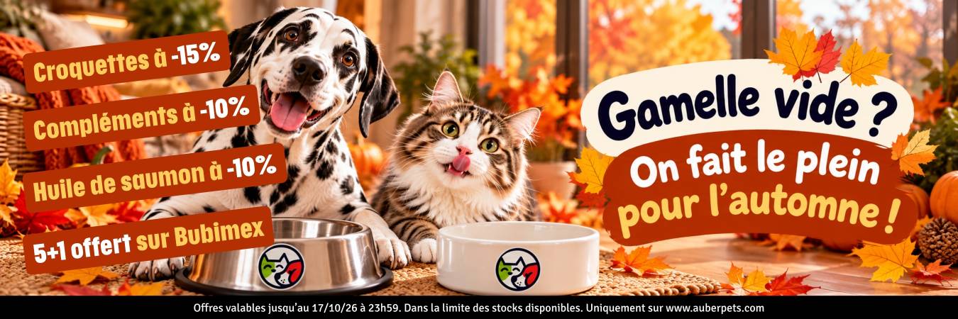 Promotion en cours animalerie en ligne Auberpets