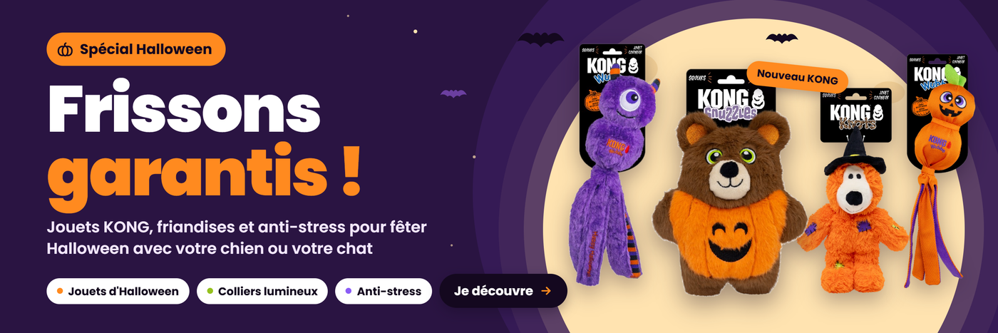 Promotion en cours animalerie en ligne Auberpets