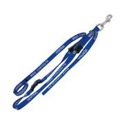Sangle ventrale de toilettage pour chien