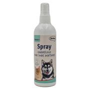 Spray dentifrice pour soins dentaires chat et chien Bubimex