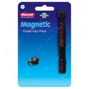 Collier + clé de rechange PetSafe pour chien et chat