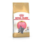 ROYAL CANIN Croquettes Kitten British Shorthair chaton - 400 g