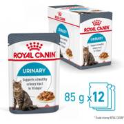 ROYAL CANIN Urinary Care en sauce 12 x 85 g pour Chat